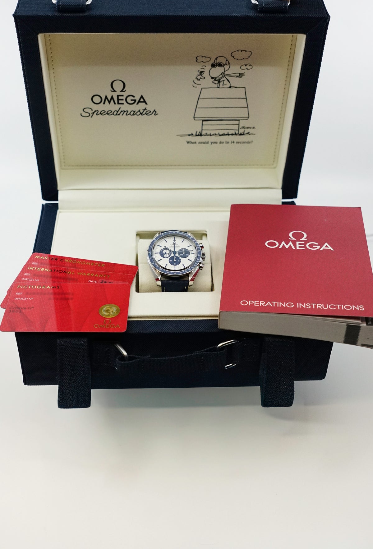 Omega Speedmaster Professional Moonwatch "Silver Snoopy Award"